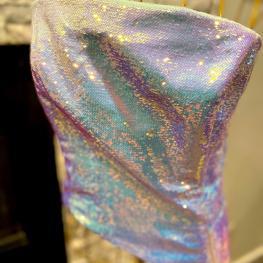 NWT Nadine Merabi Faye Iridescent Top XL